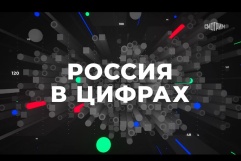 Инфографика «Россия в цифрах. Единые федеральные образовательные программы»